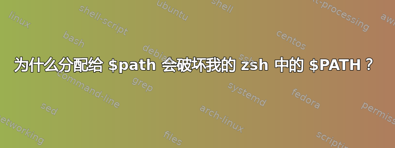 为什么分配给 $path 会破坏我的 zsh 中的 $PATH？