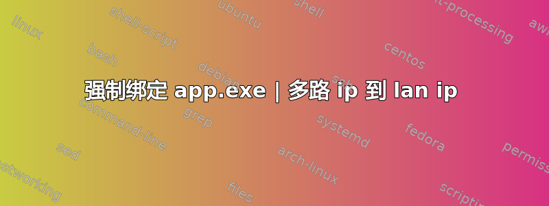 强制绑定 app.exe | 多路 ip 到 lan ip