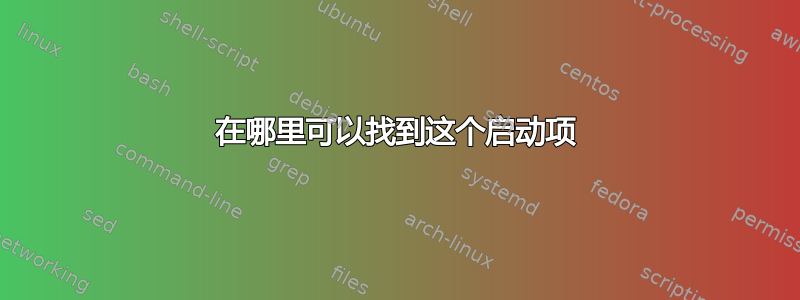 在哪里可以找到这个启动项