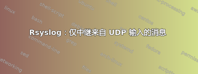 Rsyslog：仅中继来自 UDP 输入的消息