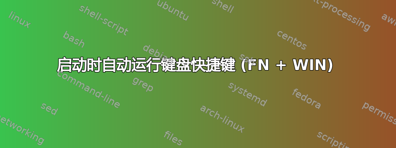 启动时自动运行键盘快捷键 (FN + WIN)