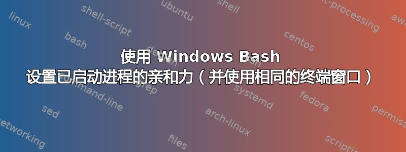 使用 Windows Bash 设置已启动进程的亲和力（并使用相同的终端窗口）