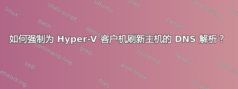 如何强制为 Hyper-V 客户机刷新主机的 DNS 解析？