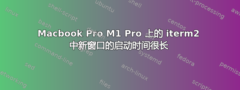 Macbook Pro M1 Pro 上的 iterm2 中新窗口的启动时间很长