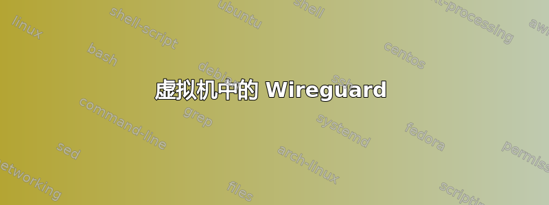 虚拟机中的 Wireguard