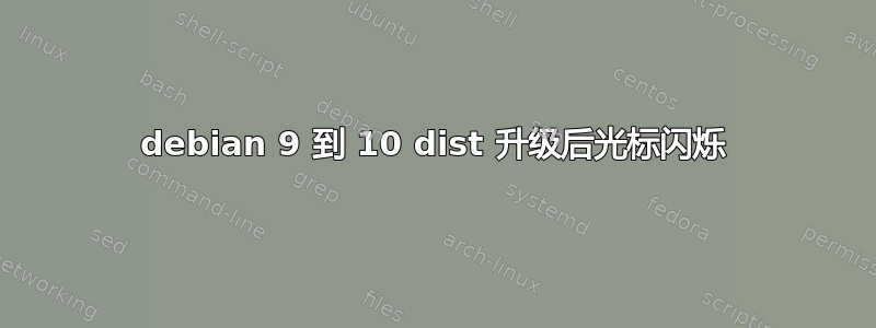 debian 9 到 10 dist 升级后光标闪烁