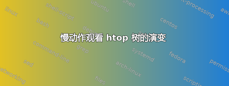 慢动作观看 htop 树的演变