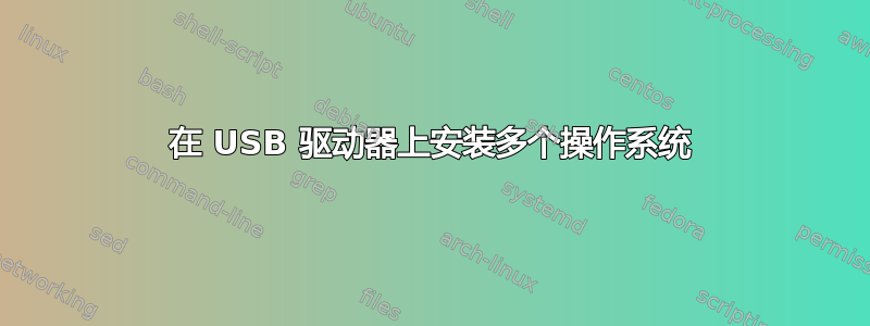 在 USB 驱动器上安装多个操作系统