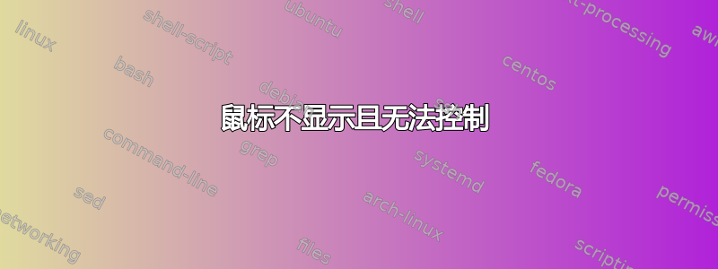 鼠标不显示且无法控制