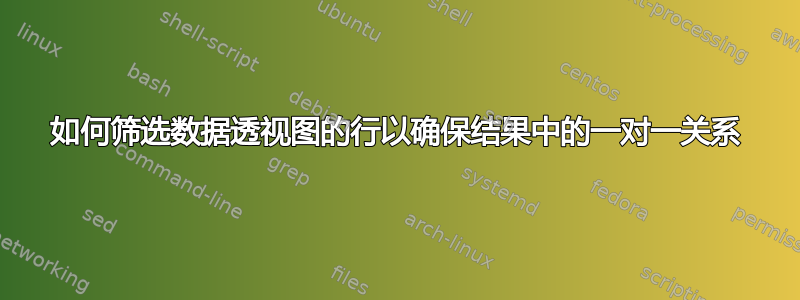 如何筛选数据透视图的行以确保结果中的一对一关系