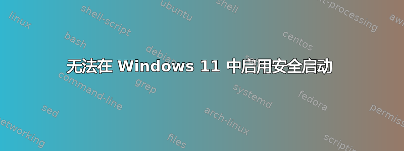 无法在 Windows 11 中启用安全启动