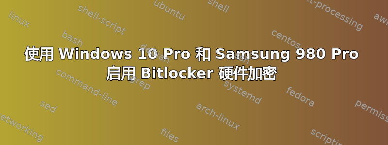 使用 Windows 10 Pro 和 Samsung 980 Pro 启用 Bitlocker 硬件加密