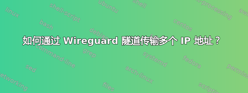 如何通过 Wireguard 隧道传输多个 IP 地址？