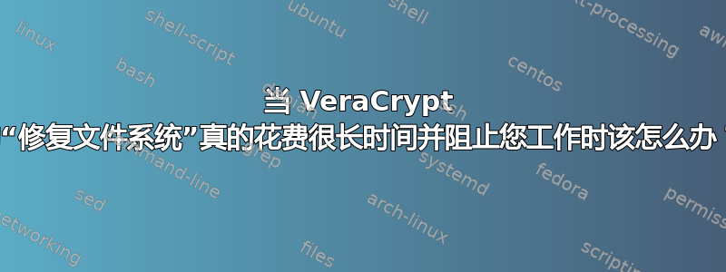 当 VeraCrypt 的“修复文件系统”真的花费很长时间并阻止您工作时该怎么办？