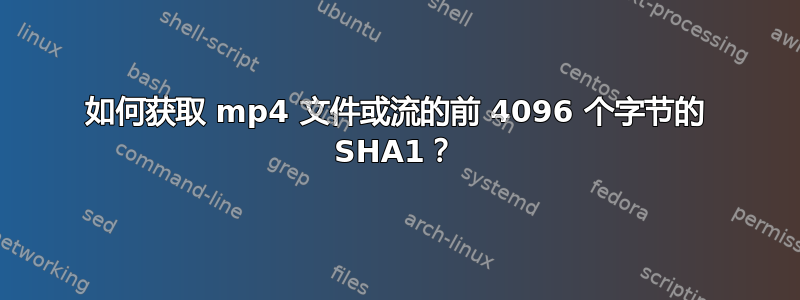 如何获取 mp4 文件或流的前 4096 个字节的 SHA1？