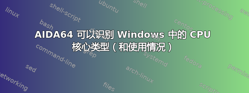 AIDA64 可以识别 Windows 中的 CPU 核心类型（和使用情况）