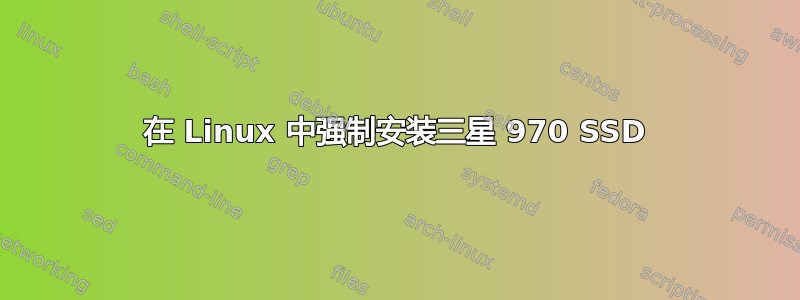 在 Linux 中强制安装三星 970 SSD