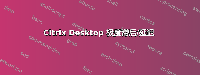 Citrix Desktop 极度滞后/延迟