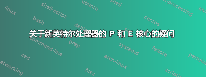 关于新英特尔处理器的 P 和 E 核心的疑问