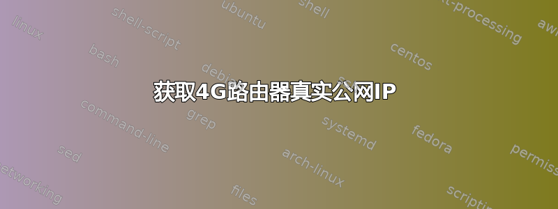 获取4G路由器真实公网IP