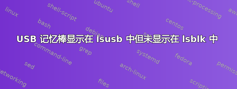 USB 记忆棒显示在 lsusb 中但未显示在 lsblk 中