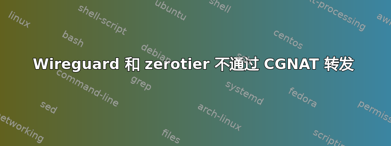 Wireguard 和 zerotier 不通过 CGNAT 转发