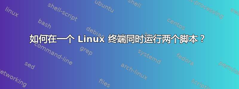 如何在一个 Linux 终端同时运行两个脚本？