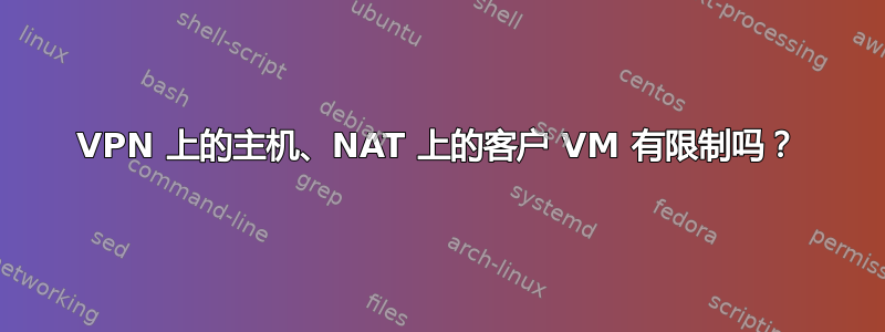 VPN 上的主机、NAT 上的客户 VM 有限制吗？