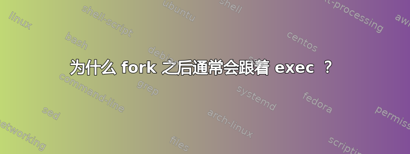 为什么 fork 之后通常会跟着 exec ？