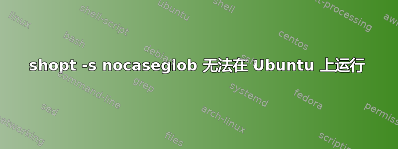 shopt -s nocaseglob 无法在 Ubuntu 上运行