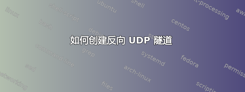 如何创建反向 UDP 隧道