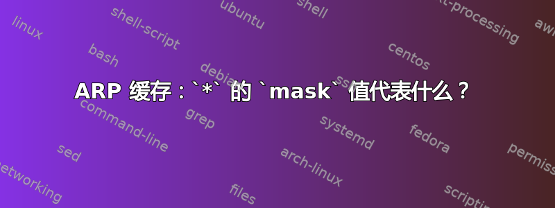 ARP 缓存：`*` 的 `mask` 值代表什么？