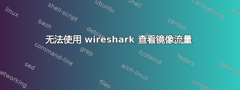 无法使用 wireshark 查看镜像流量