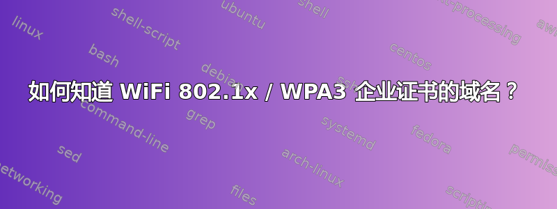 如何知道 WiFi 802.1x / WPA3 企业证书的域名？