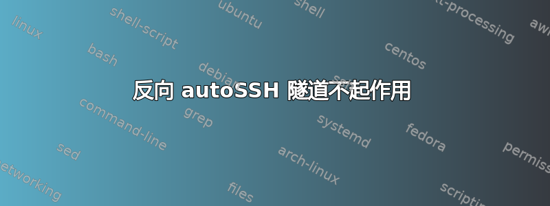 反向 autoSSH 隧道不起作用