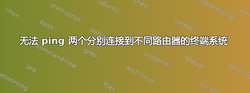 无法 ping 两个分别连接到不同路由器的终端系统