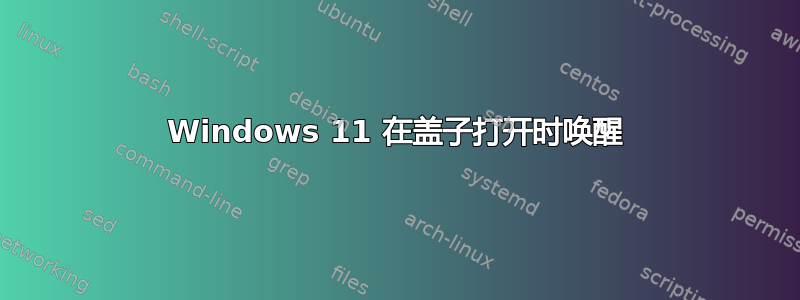 Windows 11 在盖子打开时唤醒