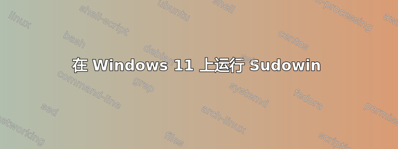 在 Windows 11 上运行 Sudowin