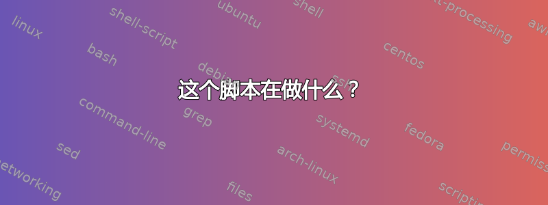 这个脚本在做什么？