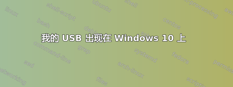 我的 USB 出现在 Windows 10 上 