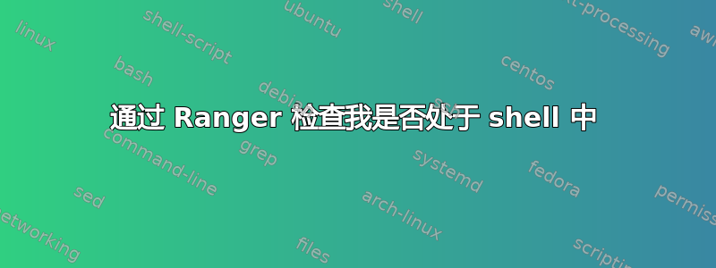 通过 Ranger 检查我是否处于 shell 中