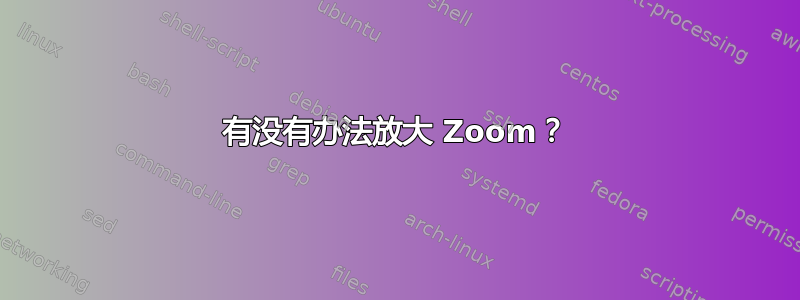 有没有办法放大 Zoom？