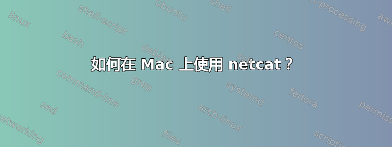 如何在 Mac 上使用 netcat？