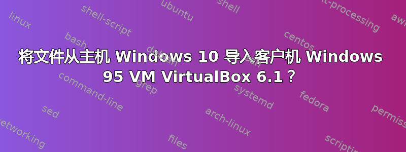 将文件从主机 Windows 10 导入客户机 Windows 95 VM VirtualBox 6.1？