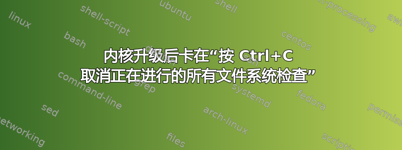 内核升级后卡在“按 Ctrl+C 取消正在进行的所有文件系统检查”