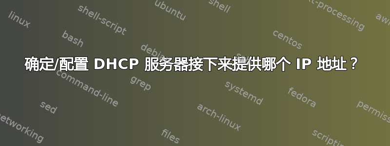 确定/配置 DHCP 服务器接下来提供哪个 IP 地址？