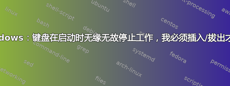 Linux/Windows：键盘在启动时无缘无故停止工作，我必须插入/拔出才能使其工作