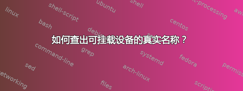 如何查出可挂载设备的真实名称？