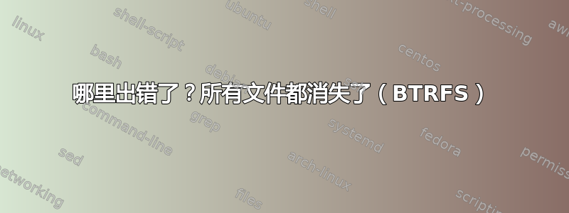 哪里出错了？所有文件都消失了（BTRFS）