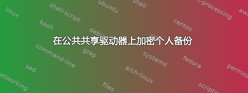 在公共共享驱动器上加密个人备份